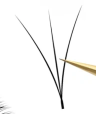 Natural Lash Fans — product and packaging